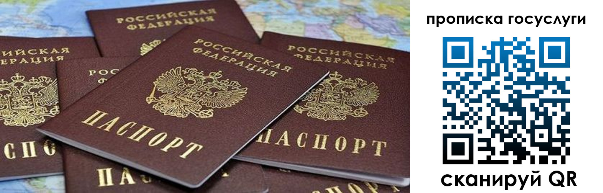 пропишу в квартире в Павлово
